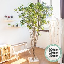 실내인테리어 인조나무 123종 / 플트 조화나무 C, C09.라인-올리브나무 220cmK/벽면형
