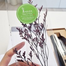 에프센트 미스티 블루 프리저브드 플라워 실내 디퓨저 인테리어 말린꽃 드라이플라워, 미스티그린