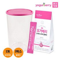 요거베리 플레인 요거트 스타터 1박스 + 트라이탄 발효용기 1개, 단품, 단품