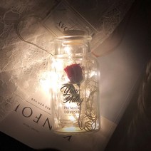 유얼어데이 미녀와 야수 장미 무드등, 1개