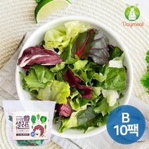 데이밀 자연을담은 샐러드 실속B 100g x 10팩 국내산 야채믹스, 홀그레인발사믹드레싱 10개, 10개
