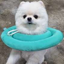 강아지 고양이 애견 ufo 목보호대 천 넥카라 포그니M, 포그니넥카라(PY나리옐로우M)