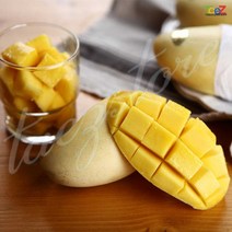 태국망고 선물세트16과 6입 1.9kg 후레쉬망고 생망고명절 설 선물세트 부모님 단체, 상세페이지 참조