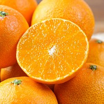 [미미의밥상] 당도12brix이상 꿀달콤 제주 황금향 4.5kg 중소과 (24-27과)