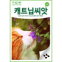 고양이풀 캐트닙씨앗 개박하씨앗 개박하 캣닢 100알