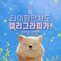 다온폰트 타이핑치는 캘리그라피 라이트 3개월 쿠폰(윈도우전용), DAON LIGHT / 3