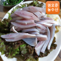 [자연산] 당일조업 생물 병어 1kg 병어회 선도보장, 병어(대) 1kg 4-6미, 조림구이 손질, 1개