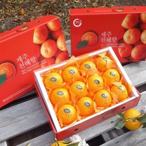 - 3일간반짝할인 - 천혜향 3kg(8~11수 대과선물용) 그윽한 맛과 향 제주과일의 여왕 품격있는 제주과일선물세트 박스무게포함, 2박스