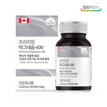 힐링팩토리 프리미엄 마그네슘 400, 90정, 1개
