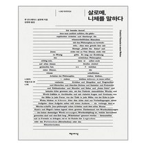 살로메 니체를 말하다 - 책세상