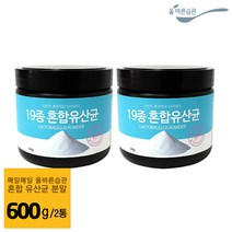 올바른습관 19종 혼합 유산균분말, 300g, 2병