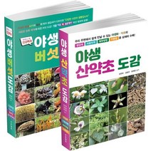 야생 산약초·버섯 도감 세트:우리 주변에서 쉽게 만날 수 있는 약초·버섯, 푸른행복