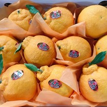 한라봉세트 3kg 3kg (1 1), 2box, 특대과/대과 (6~7과x2박스)