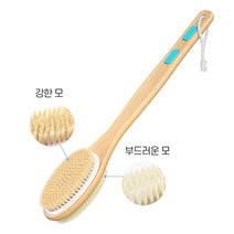 지피지엘 양면 바디브러쉬, 단일제품, 1개