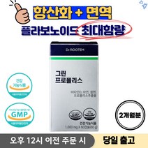 프로폴리스 그린 프로폴리스 브라질 그린 프로폴리스 플라보노이드 그린 플라보노이드 플라보노이드영양제 면역력 높이는 영양제, 1개, 60캡슐