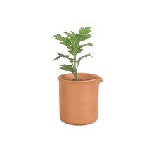 테라코타 토분 화분 수반, 5.황토 플랜터 비이커
