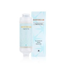 바디빔 비타민 샤워필터 4종 택1, 무향