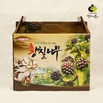 1박스(100mlx60p) 황칠나무즙, 1개, 상세페이지 참조, 영킴스샵 본상품선택