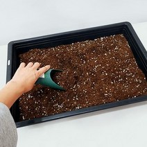 관수상자 삽목상자 국산 플라스틱 화분 트레이 파종 가드닝 저면관수 삽목 육묘 수경재배, 관수 상자 (구멍X)