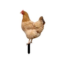 정원꾸미기 조형물 아크릴 수탉 닭 암탉 입상 정원 야외 농장 마당 뒤뜰, 2.02