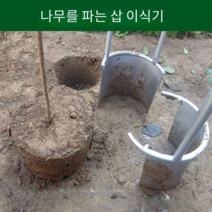 묘목삽 나무 분재삽 조경수 소나무 분뜨기삽 나무 이식삽, 지름 25cm 통 높이 30cm