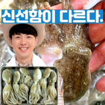 [확실한 신선도] 생물 활쭈꾸미 생쭈꾸미 제철 봄쭈꾸미 택배 1kg, 왕신선 13미 내외 1kg