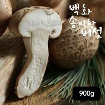 백화 송이향버섯 백화 송이향버섯 900g, 단일옵션