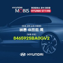 현대모비스 버튼 쉬프트 록 (846592SBA0GV2)