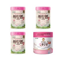 파스퇴르 업그레이드 위드맘 제왕 1단계 3캔 + 제왕 베이비 생유산균 (2g 60포) 교회 회사 단체 학교 친구 병문안 답례 감사 명절 선물세트, 16개