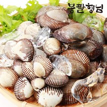 당일채취 피꼬막 (특품) 2kg 햇 피조개 꼬막, 단품