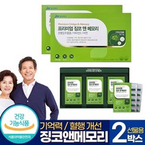 뇌영양제 식약처 인증 징코 혈액순환 개선제 뇌건강 기억력 3개월분 혈관건강 영양제, 90정, 2박스
