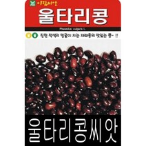 [워터트리몰] 채소 종자 재배 씨앗 울타리콩씨앗(600g) (A)