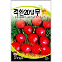 제일 적환20일무 씨앗 1000립, 단품