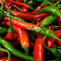 새벽들 국내산 매운 청양고추 (반홍) ( 500g 1kg ), 청양(반홍) 500g, 1개