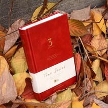 일기장 미도리 3년 5년 10년 일지장 다이어리 노트, 3년-레드