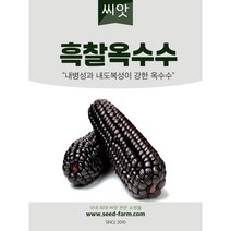 흑찰옥수수 씨앗 (30g)