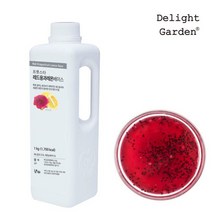 딜라잇가든 레드용과레몬 베이스 1kg, 1개