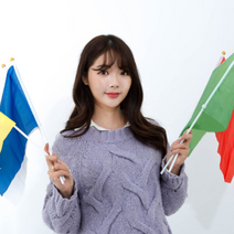 체육대회 응원 깃발 파티 용품 운동회, 레드