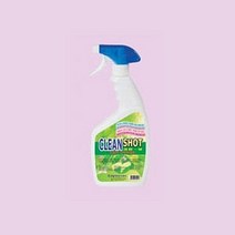 락카 수성페인트 다용도 제거제 550ml, 가인1 1