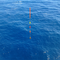 피싱투유 이중부들장찌(0.5~5.0호까지) (BF-), 1.0호, 꿈