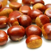 21년 햇밤 달고 맛있는 속이 꽉찬 공주 정안밤 알밤 생밤 밤, 1box, 대-4kg