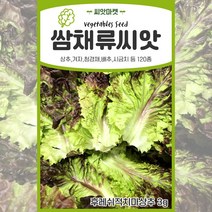 각종 쌈채소 상추씨앗 배추 치커리씨 청경채 샐러리 씨 엽채류 씨앗 종자, 44 - 레드줄기상추 1000립