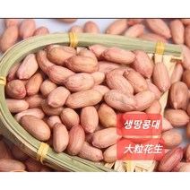[신중국식품]생땅콩 중국산생땅콩큰알(대) 성화성 생땅콩중(바이싸), 생땅콩(중)1kg, 1개