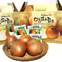 대원건강푸드 저온진공추출공법 껍질까지 양파 그대로 50포, 100ml