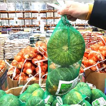 코스트코 큼지막한 단호박 2입 국내산 [에어캡 포장]