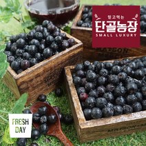 프레시데이 고창 프리미엄 아로니아 냉동생과 (줄기제거), 1박스, 5kg