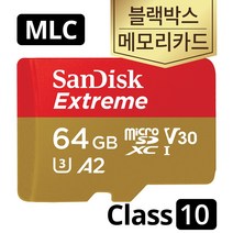 샌디스크 64GB 블랙박스 앤젤레이디화이트 ANG-3502F1 MLC