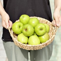 아오리 햇사과 썸머킹 홍로사과 못난이 가정용 2kg 3kg 5kg 10kg, 3. 꼬마과 (14-16과) 2kg, 1개