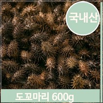 푸들 국화과 약초 창이자 600g 도꼬마리 열매 건강 한방 (7563849)