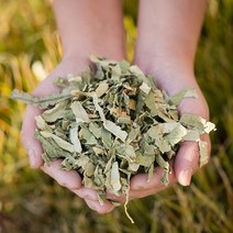 국산 하엽(연잎) 200g 건 말린 연꽃잎 차 한방재료 한약재, 12YG_국산하엽(연잎)200g, 12YG_국산 하엽(연잎) 200g